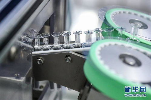 北京全面有序开展预防接种工作 技术服务的坚实支撑